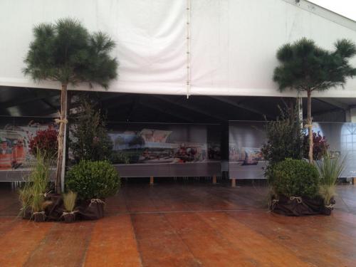 Inauguration Girland Terega