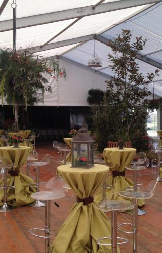Inauguration Girland Terega