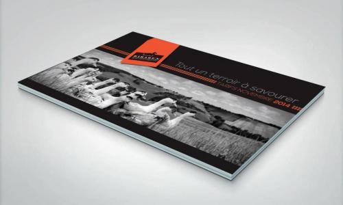 situ-catalogue-biraben
